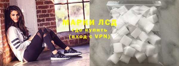 стафф Нефтегорск