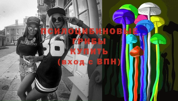apvp Навашино