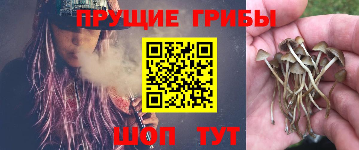 Галлюциногенные грибы Magic Shrooms Кудымкар