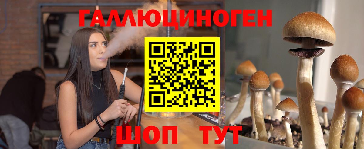 Кудымкар  Галлюциногенные грибы прущие грибы  Вход с VPN  Галлюциногенные грибы Psilocybe 